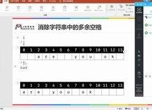 性福演算法 第一季,揭秘现代爱情密码的科技革命