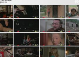 维京家的花俏老处女,花俏老处女的传奇冒险