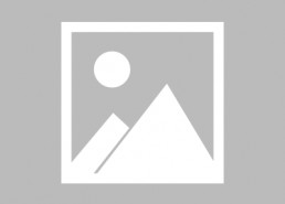 钢之炼金术师 完结篇 复仇者斯卡,斯卡在钢之炼金术师完结篇中的逆袭