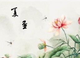 夏至末至,时光流转的季节变迁