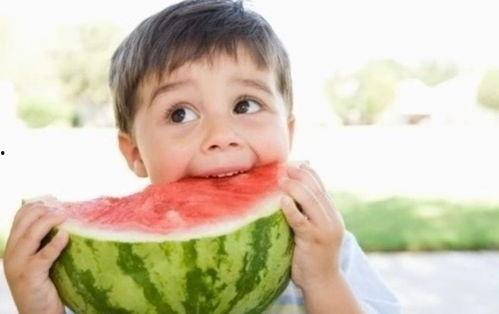 吃瓜搞笑系统娱乐圈小说